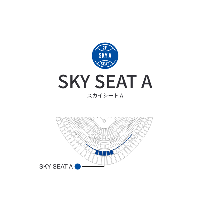 SKY SEAT A